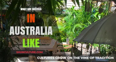 Exploring Australia: A Glimpse Into Hostels Down Under
