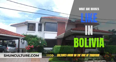 Exploring Unique Bolivian Houses and Their Features