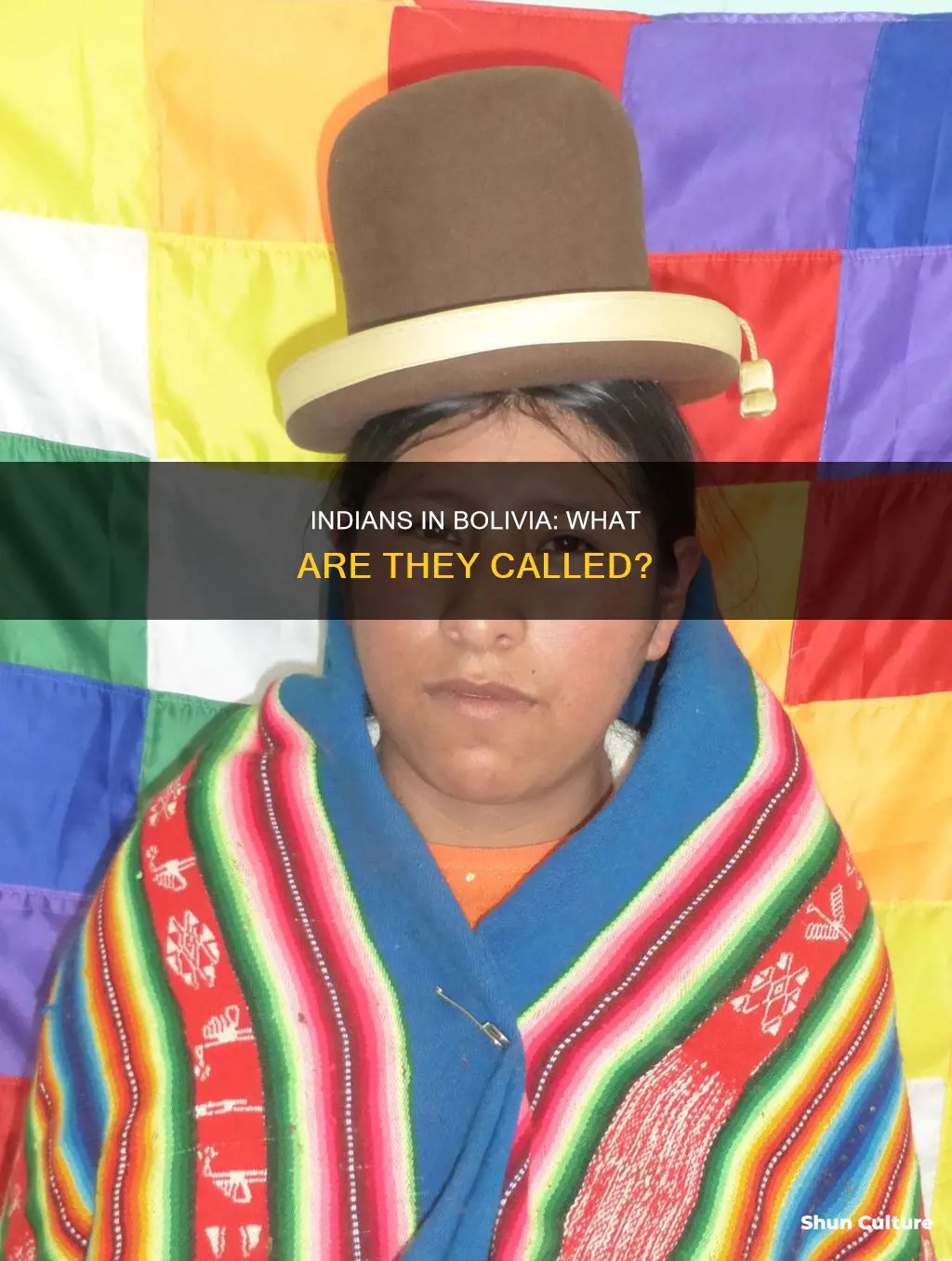 what are indians called in bolivia