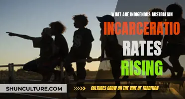 Indigenous Incarceration Crisis: Why Are Rates Rising?