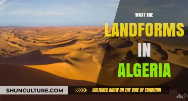 Exploring Algeria's Diverse Landforms: Mountains, Deserts, and Coastlines