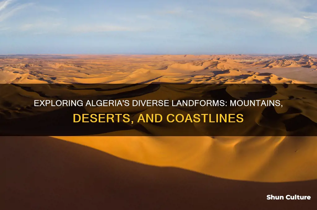 what are landforms in algeria