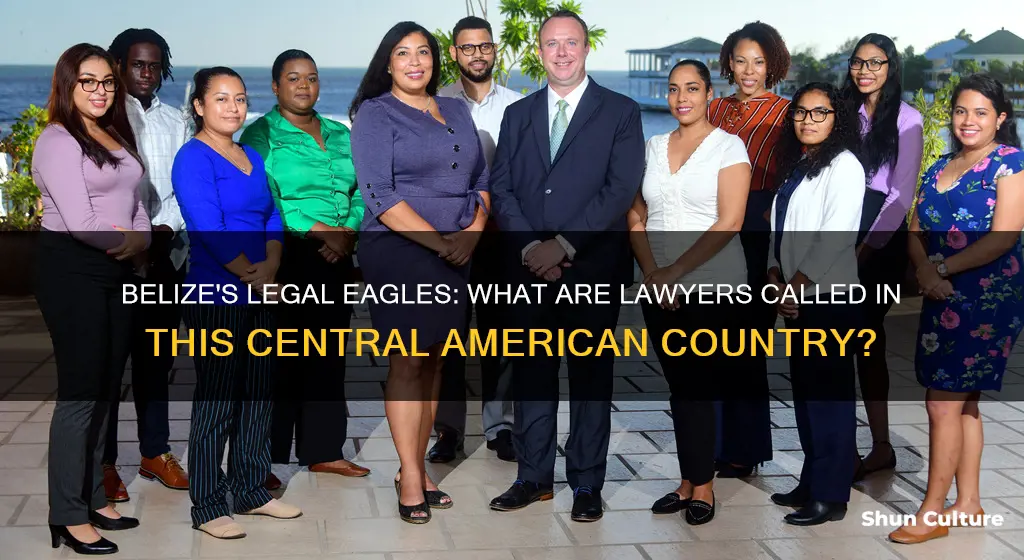 what are lawyers called in belize