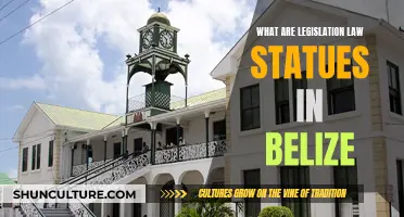 Understanding Belize's Legal Framework: A Guide to Legislation, Law, and Statues