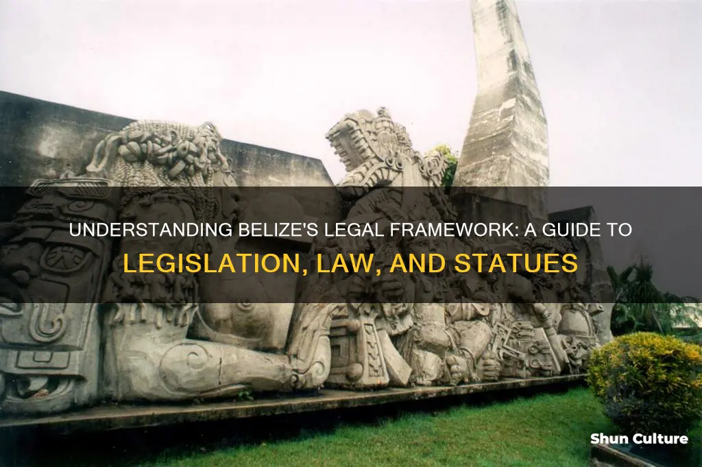 what are legislation law statues in belize