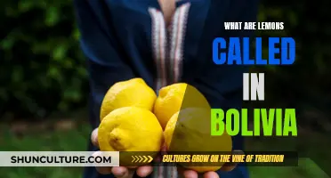 Exploring the Unique Term for Lemons in Bolivia