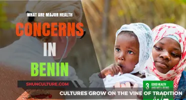 Addressing Major Health Concerns in Benin: A Comprehensive Overview