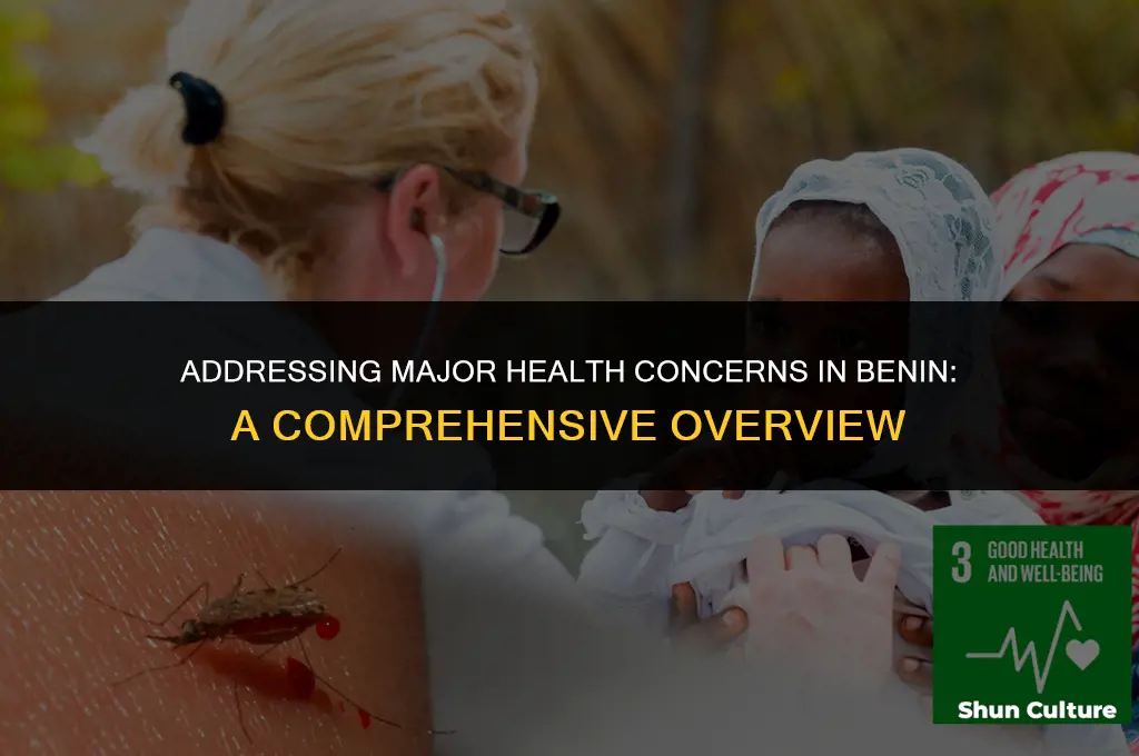 what are major health concerns in benin