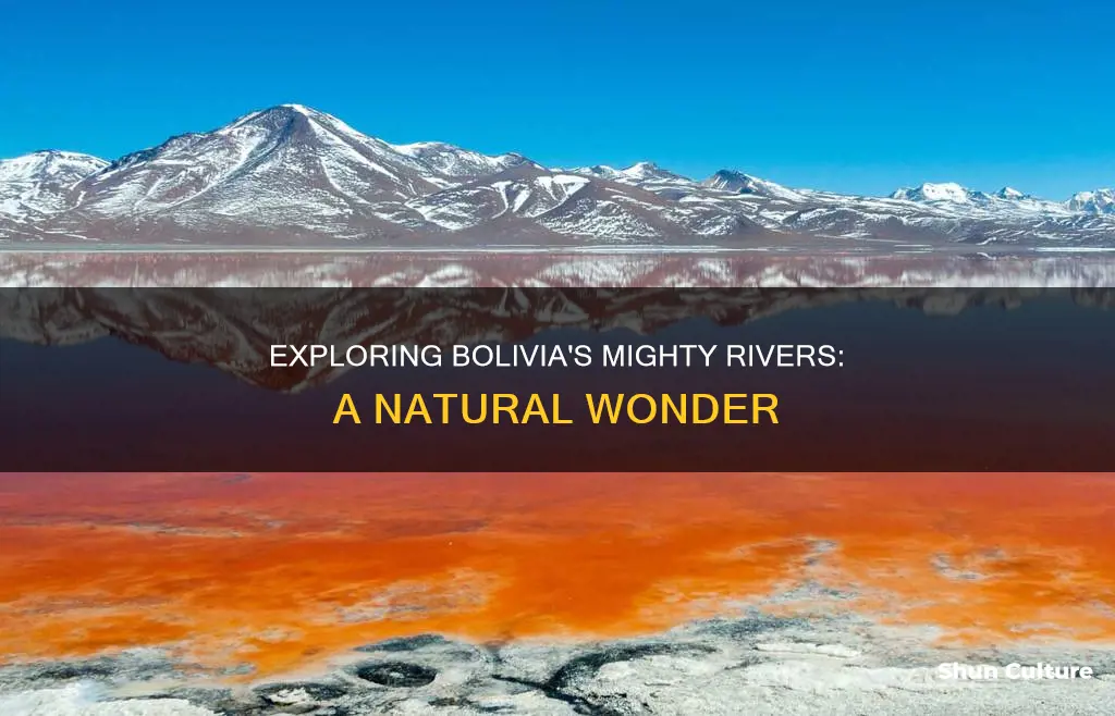 what are major rivers in bolivia