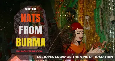 Unveiling the Mystique: Nats from Burma Explained