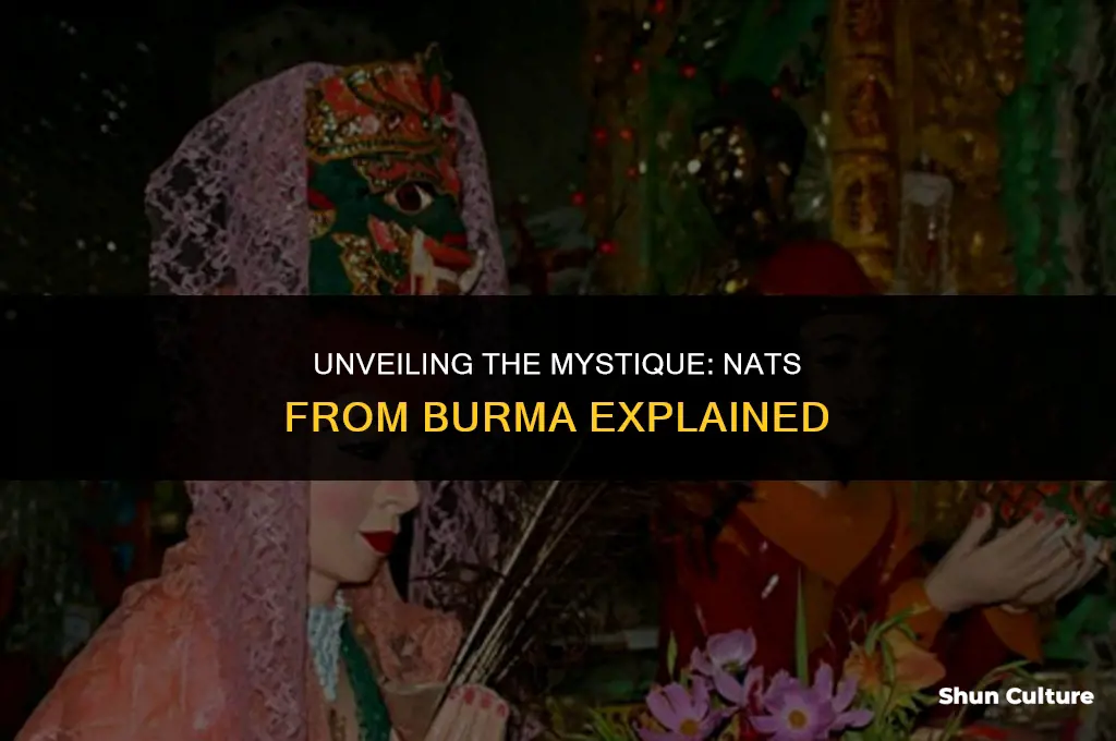what are nats from burma