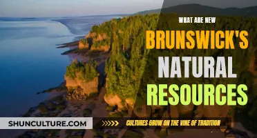 New Brunswick's Natural Wealth