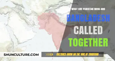 Exploring the Collective Identity of Pakistan, India, and Bangladesh