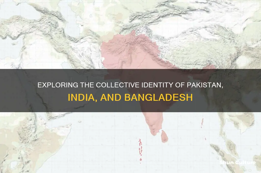 what are pakistan india and bangladesh called together