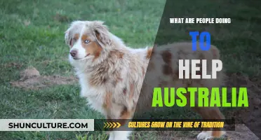 Helping Australia: Global Efforts and Initiatives