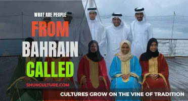 Bahrain's People: What's Their Official Demonym?