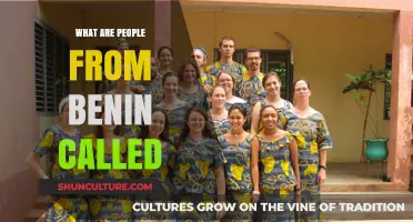 Exploring the Rich Culture and Identity of Benin's People
