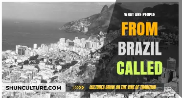 Brazilians: Unveiling the Proper Term for People from Brazil
