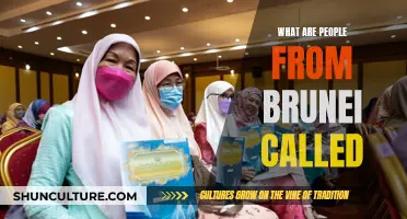 Brunei's People: A Cultural Identity Exploration