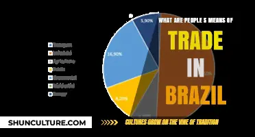 Exploring Brazil's Diverse Trade Methods and Economic Exchange Practices