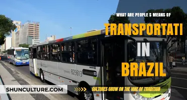 Exploring Brazil's Diverse Transportation Methods: How People Get Around