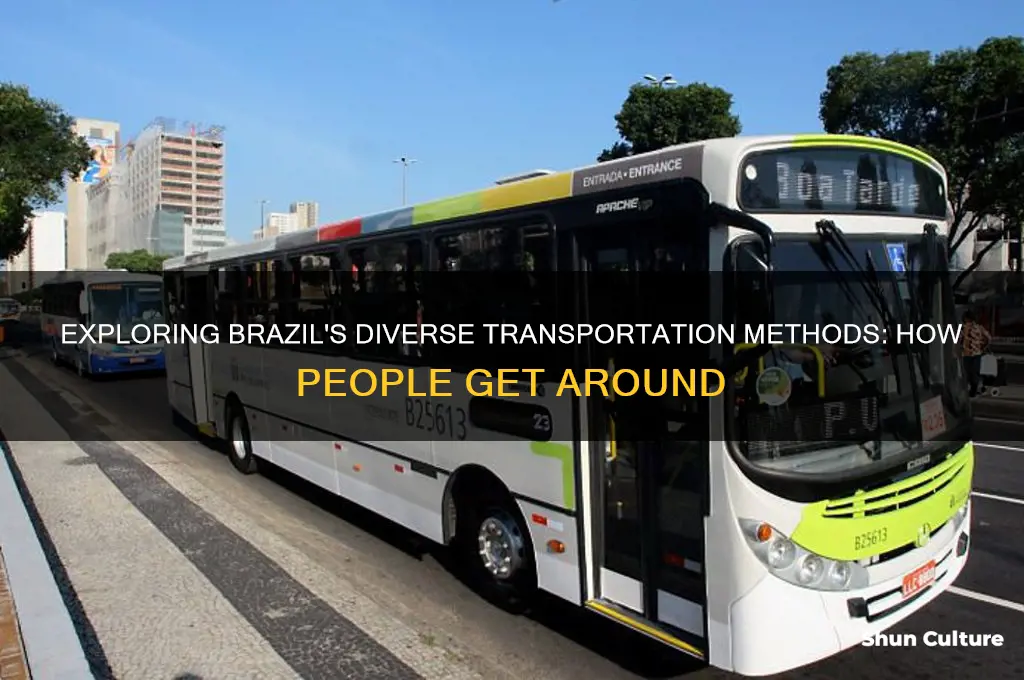what are people s means of transportation in brazil