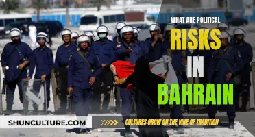 Political Risks in Bahrain: Understanding the Kingdom's Challenges