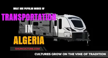 Exploring Algeria's Diverse Transportation Options: Popular Modes Revealed