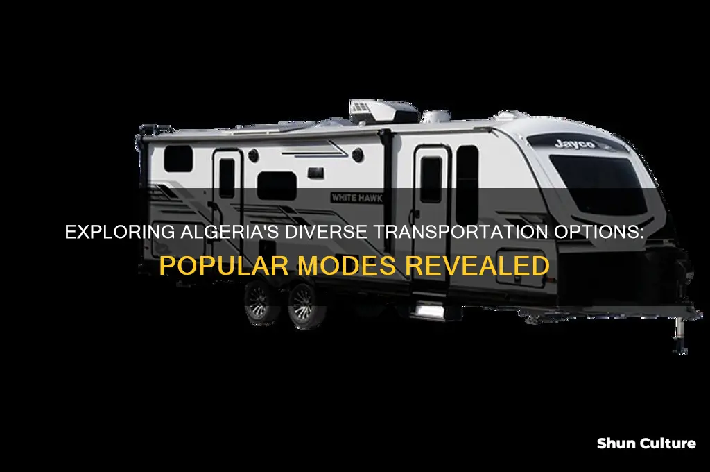 what are popular modes of transportation in algeria