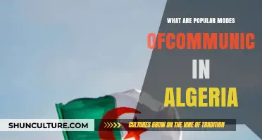 Exploring Algeria's Top Communication Methods: Trends and Preferences Revealed