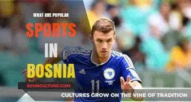 Exploring Bosnia's Favorite Sports: A Cultural Journey Through Popular Games