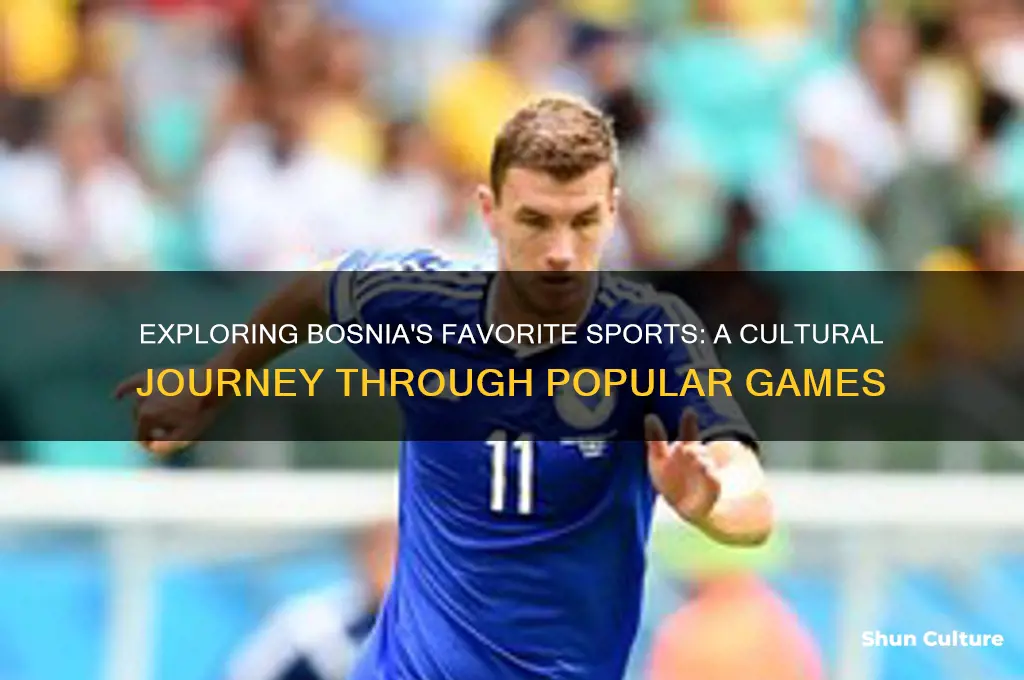 what are popular sports in bosnia