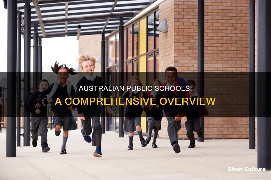 what are public schools like in australia