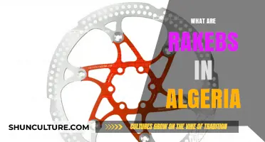 Discovering Rakebs: Algeria's Traditional Footwear and Cultural Significance