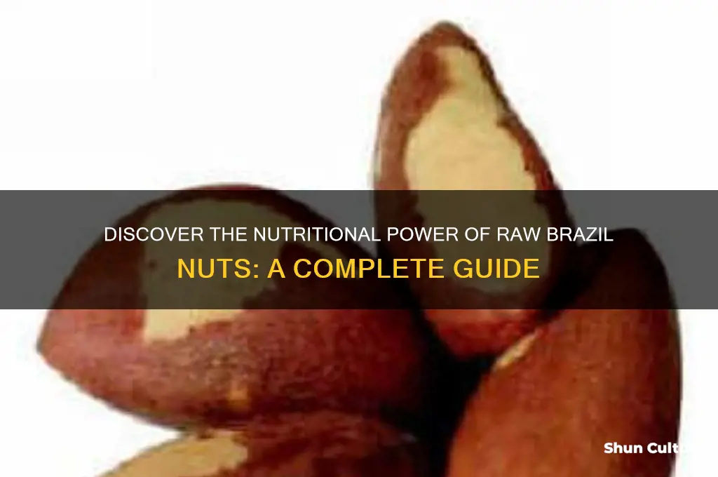 what are raw brazil nuts