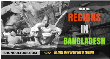 Exploring Bangladesh's Diverse Regions: Geography, Culture, and Traditions