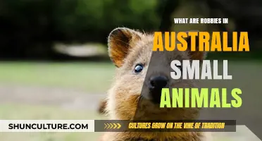 Robbie's: Australia's Unique Small Wildlife