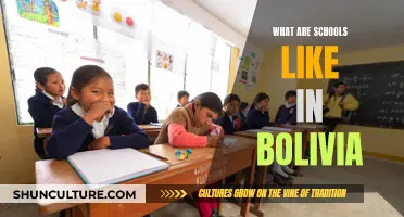 Exploring Education: Schools in Bolivia