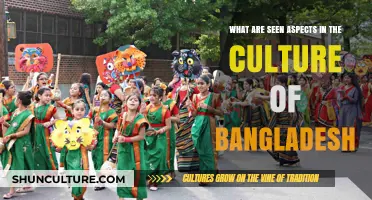 Exploring Bangladesh's Rich Cultural Tapestry: Visible Traditions and Practices