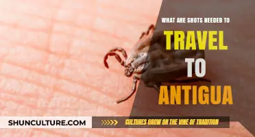 Essential Vaccinations for Safe Travel to Antigua and Barbuda