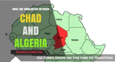 Chad and Algeria: Shared History, Culture, and Geopolitical Ties Explored