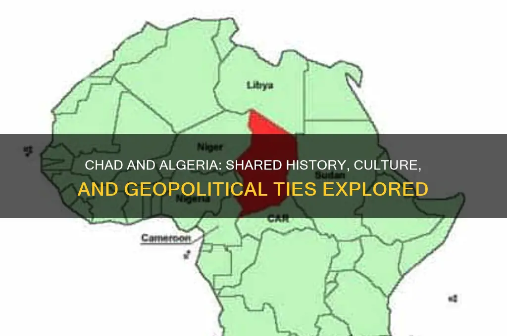 what are similarities between chad and algeria
