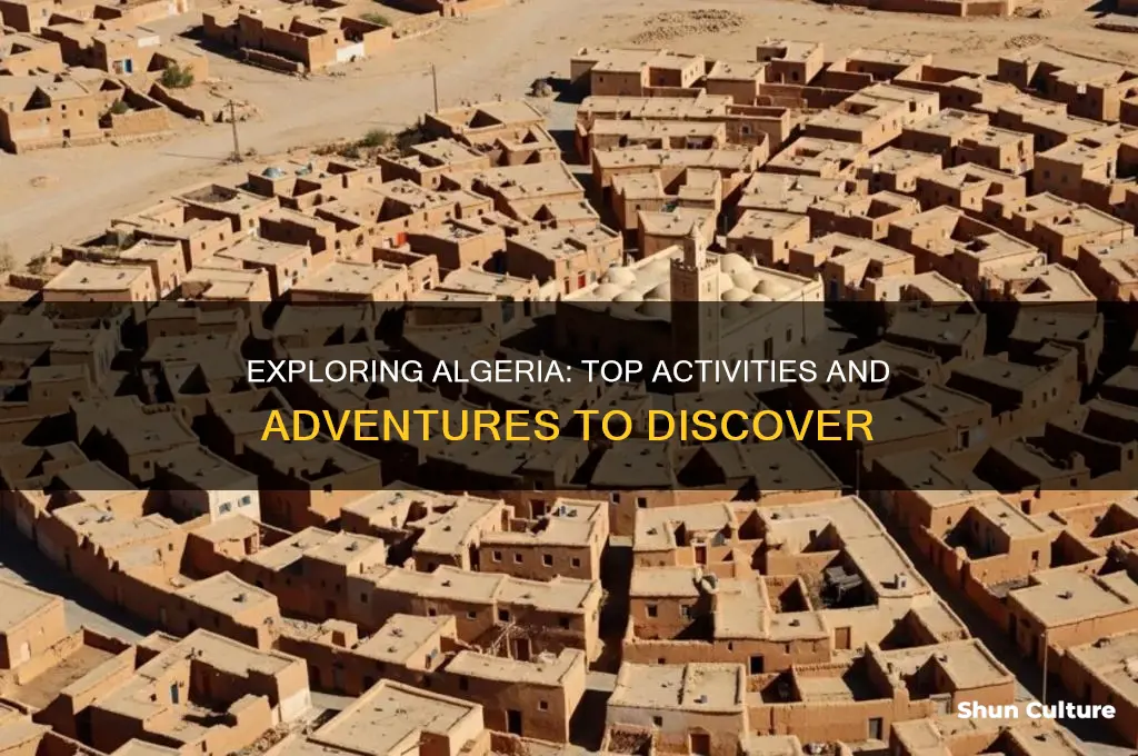 what are some activities to do in algeria