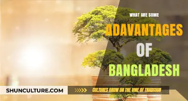 Discovering Bangladesh's Unique Advantages: A Comprehensive Guide to Its Strengths