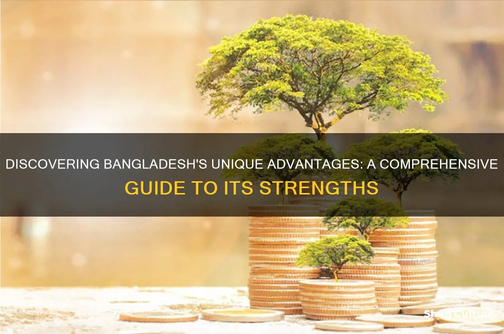 what are some adavantages of bangladesh
