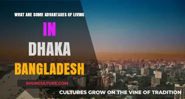Discover Dhaka's Charm: Top Benefits of Living in Bangladesh's Capital
