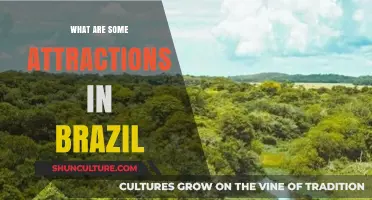 Discover Brazil's Must-See Attractions: From Beaches to Rainforests