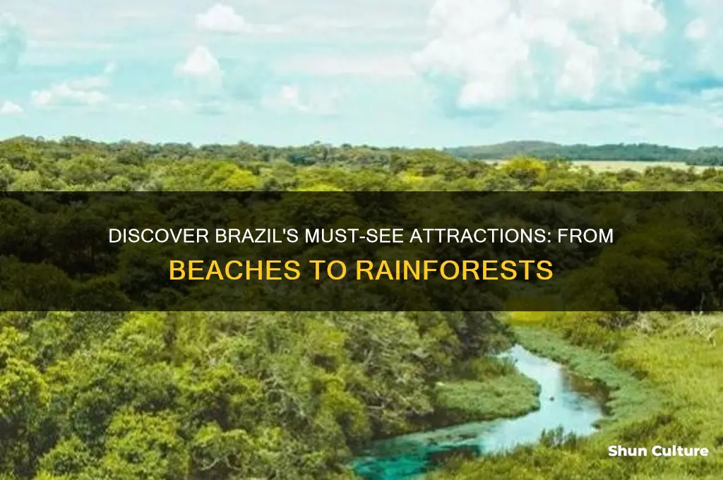 what are some attractions in brazil
