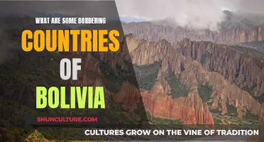 Exploring Bolivia's Bordering Nations: A Geographic Overview