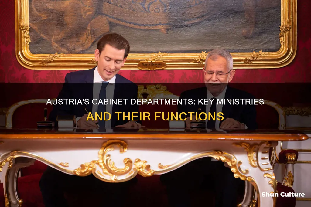 what are some cabinet departments in austria